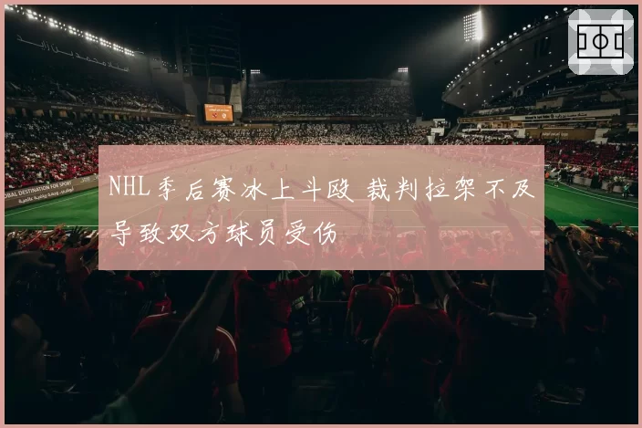 NHL季后赛冰上斗殴 裁判拉架不及导致双方球员受伤