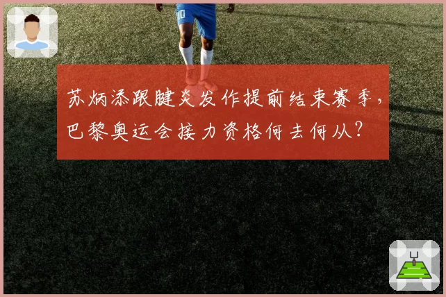 苏炳添跟腱炎发作提前结束赛季,巴黎奥运会接力资格何去何从?