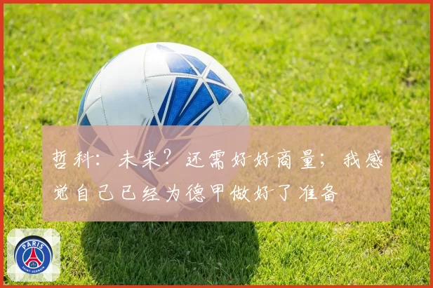 哲科：未来？还需好好商量；我感觉自己已经为德甲做好了准备